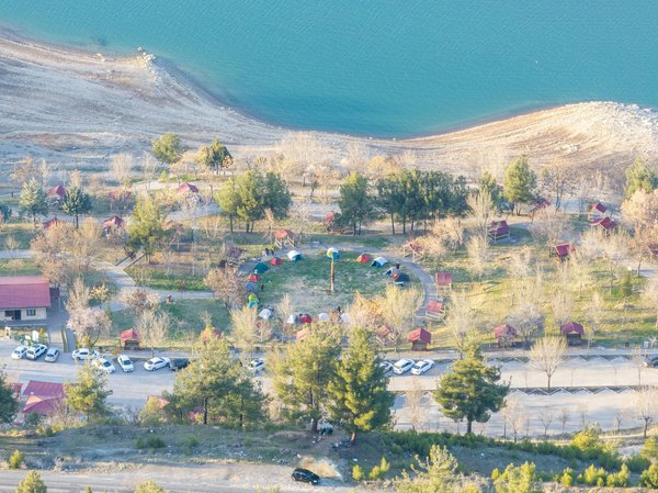 Comment choisir une croisière offrant des excursions pour observer les ours bruns en Alaska?