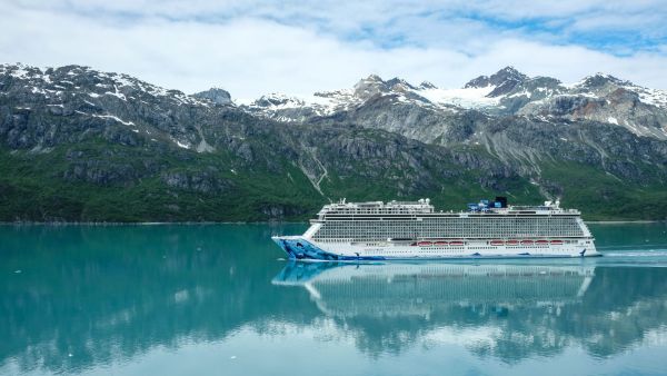 Comment choisir une croisière offrant des excursions pour observer les ours bruns en Alaska?