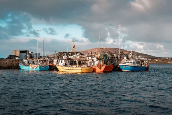 Comment découvrir les traditions de la pêche à la ligne en Irlande?
