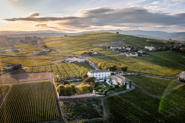 Comment découvrir les traditions viticoles de la vallée du Rhône sans guide?