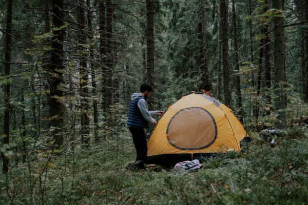 Comment organiser un camping pour pratiquer la photographie de la faune en forêt?