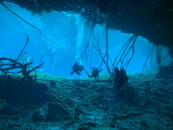 Où trouver les meilleurs spots pour la plongée dans les cenotes au Mexique ?