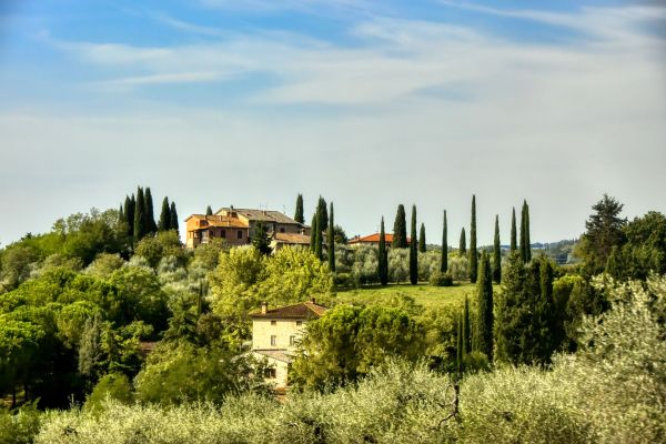 Où trouver une location de vacances en Toscane avec des cours de cuisine et randonnées guidées?